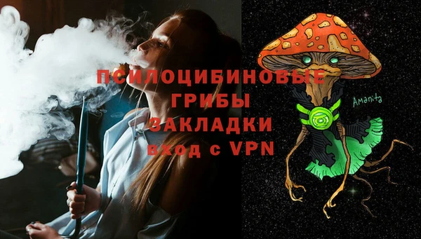 прущие грибы Балабаново