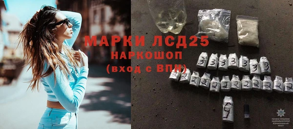 прущие грибы Балабаново
