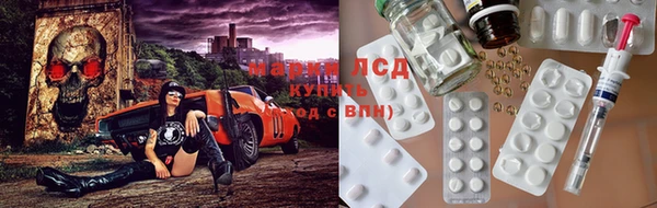 сатива Арсеньев