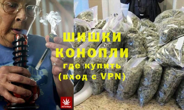 прущие грибы Балабаново