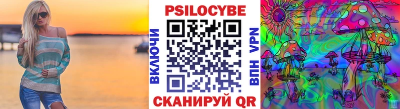 Псилоцибиновые грибы Psilocybe  Нижняя Тура 